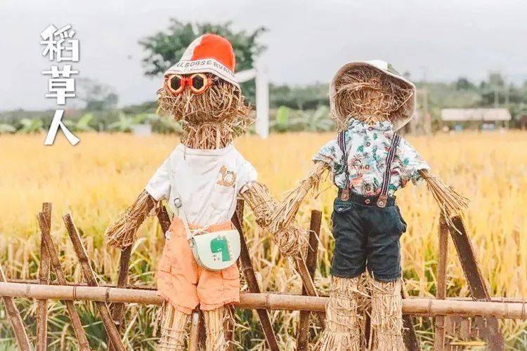 发挥想象空间,脑洞大开,设计专属于自己的稻草人吧~据说会画画和动手