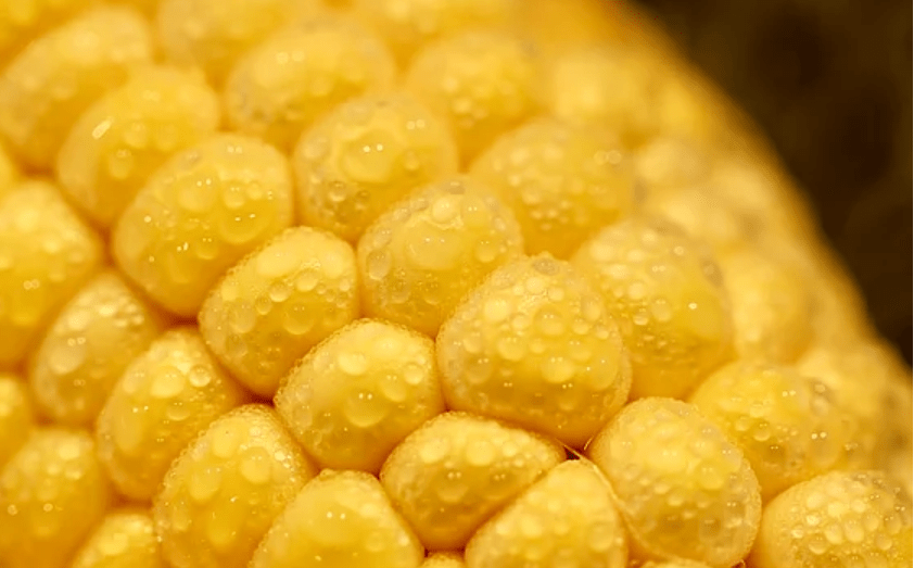 b42d624fe6274bafbb814a428eee155b.png