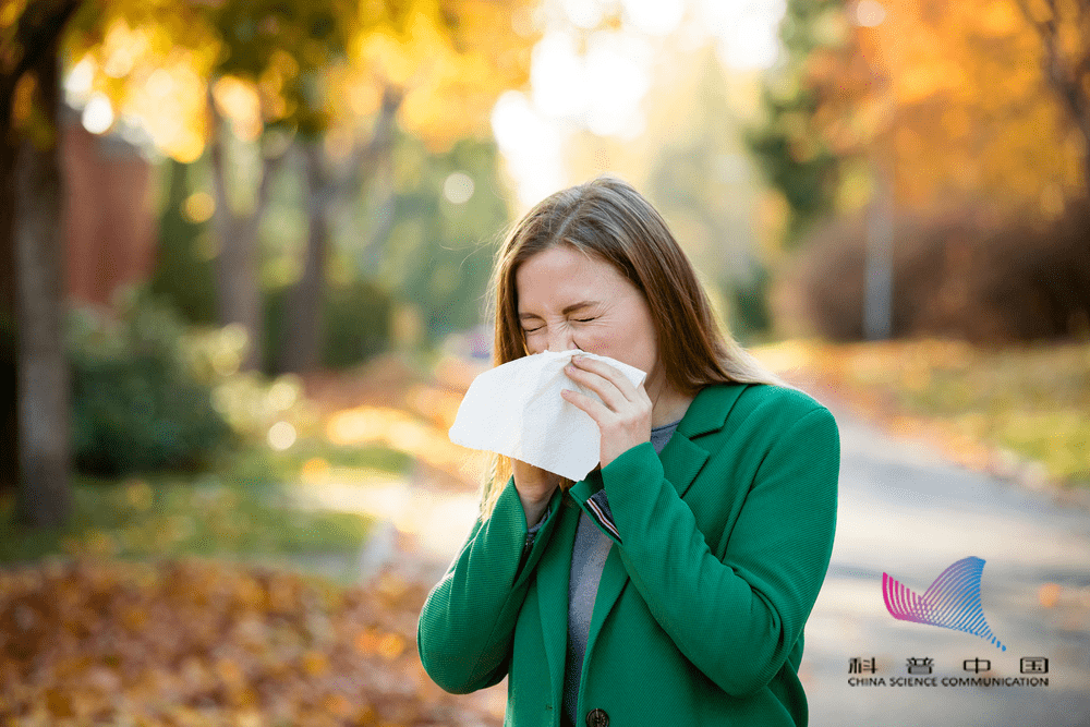 喷嚏|感冒时多喝水，到底对不对？