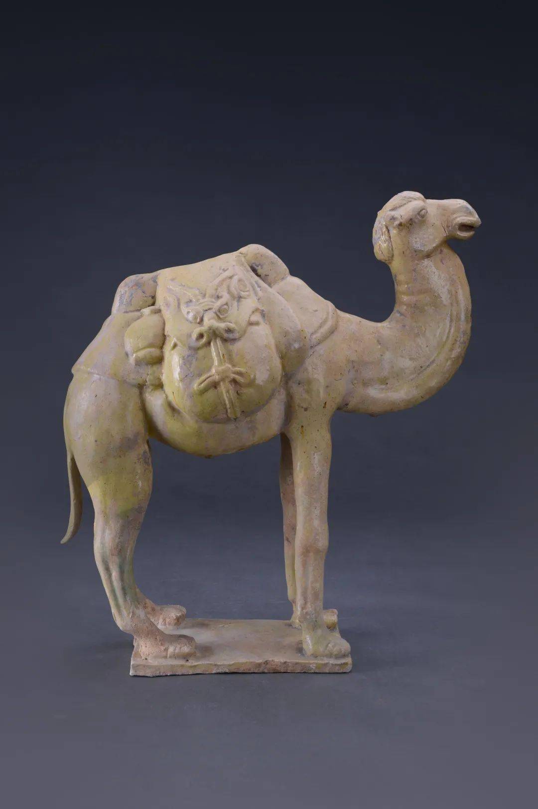 唐朝扛把子的代表你知道多少?