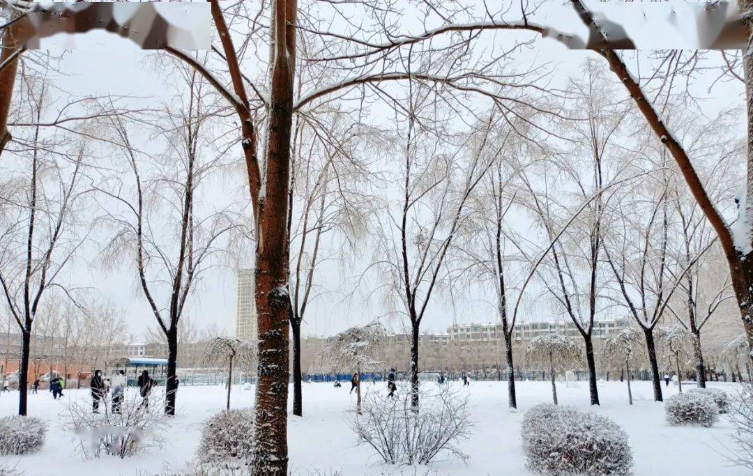 吉林工商学院雪景图片