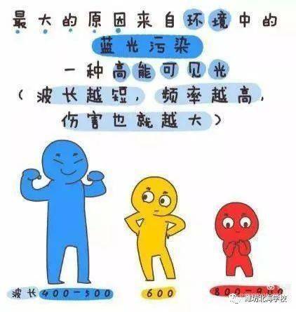 86156ebcb3724497ba186db9a1fe8aa1.jpeg