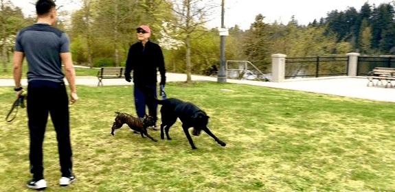 参加一场聚会的照片,可以从照片中看到,69岁的尊龙穿着休闲风的衣服