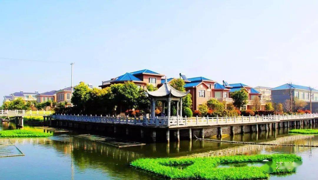 丁长林 | 小王庄的变迁