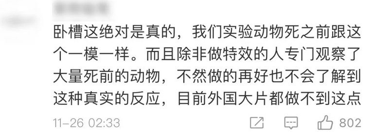 鹦鹉|圈内到底还有没有底线？