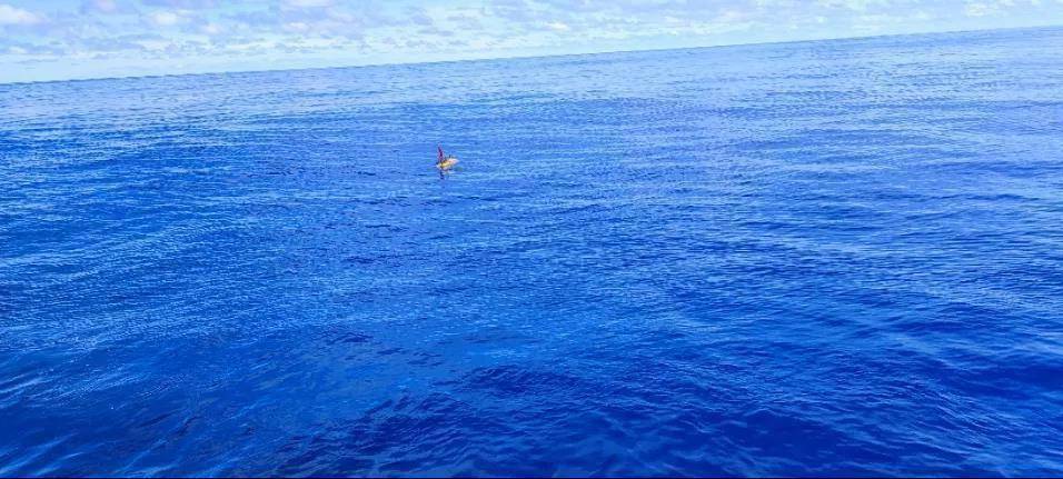 10896米！哈工程“悟空号”AUV再创潜深纪录！