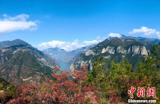 重庆巫山：层林尽染入画来