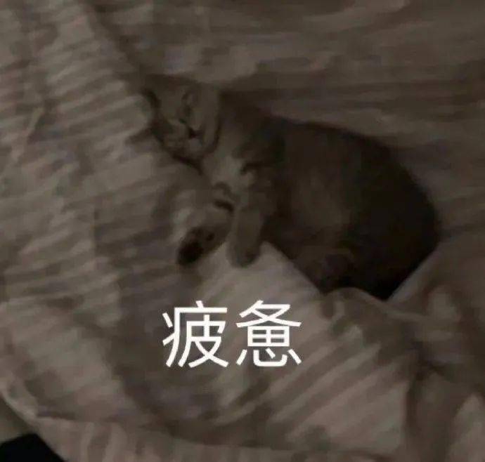 发型这3个发型真的别留！显土显脸大！