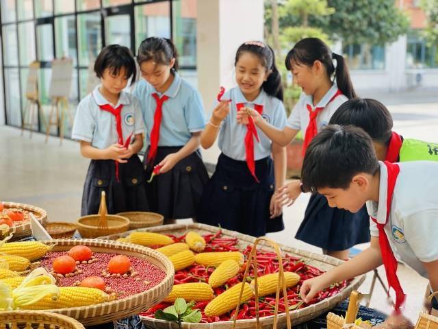 服务|浙江金华苏孟小学：课后服务“晒”出收获的喜悦