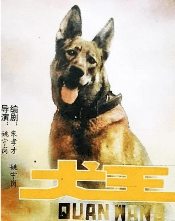 鹦鹉|圈内到底还有没有底线?