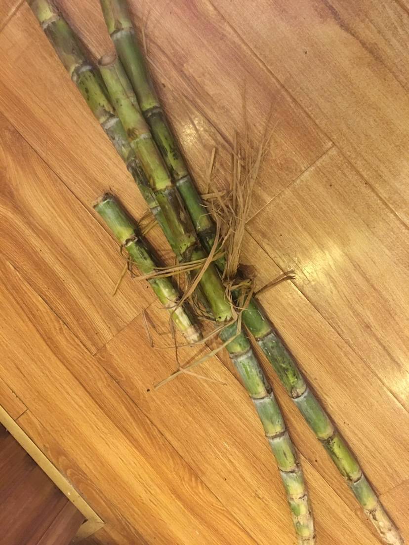 差不多两斤的各种杂鱼,换了大爷4根甘蔗,本来说是送,大爷硬是捆了4根