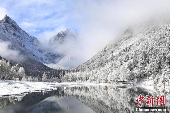 白雪|四川毕棚沟雪景美如仙境