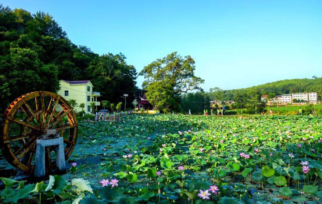 福建沙县小吃培训学校_福建沙县小吃培训_福建沙县小吃去哪里学