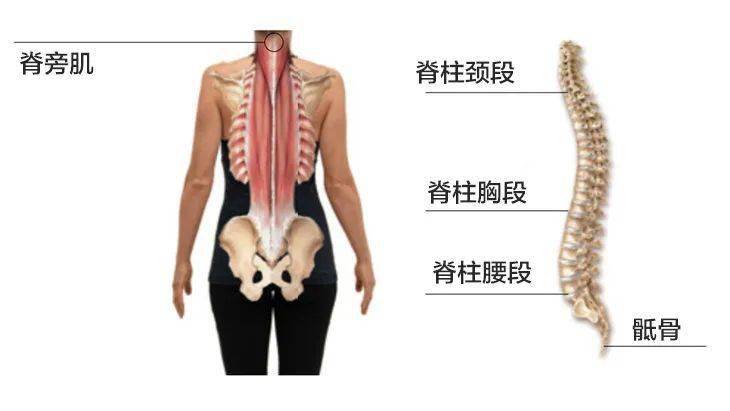 网友许玮甯穿衣真大胆 ! 胸前只挂两条布就出来, 网友:难怪能和阮经天相恋八年