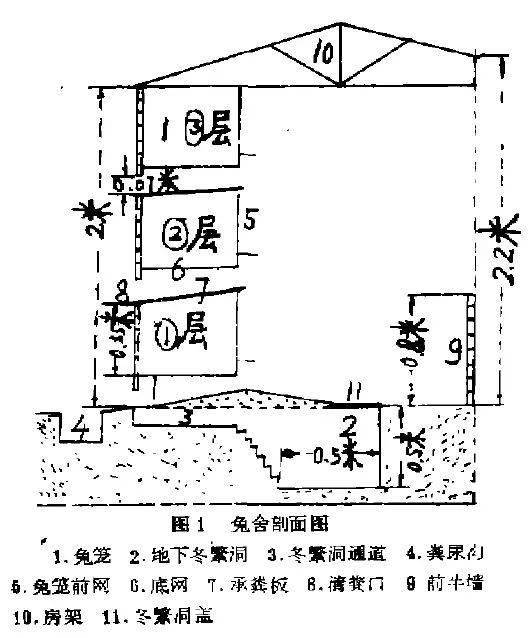 兔笼兔舍设计图图片