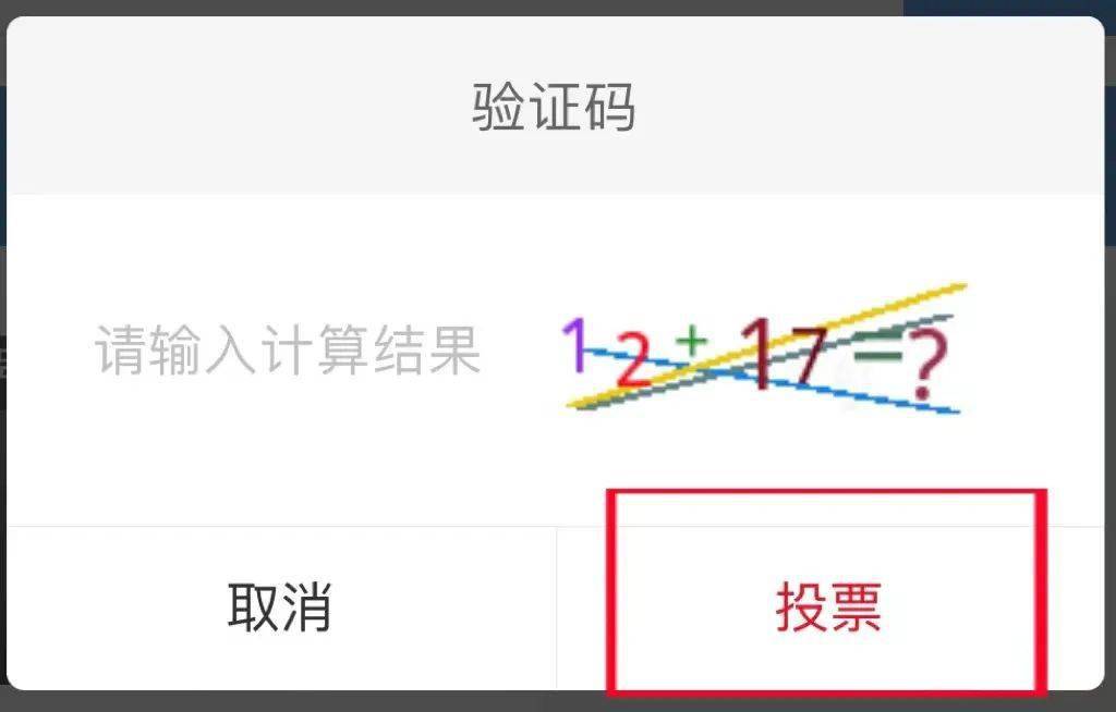 需要手机验证码的投票怎么刷
