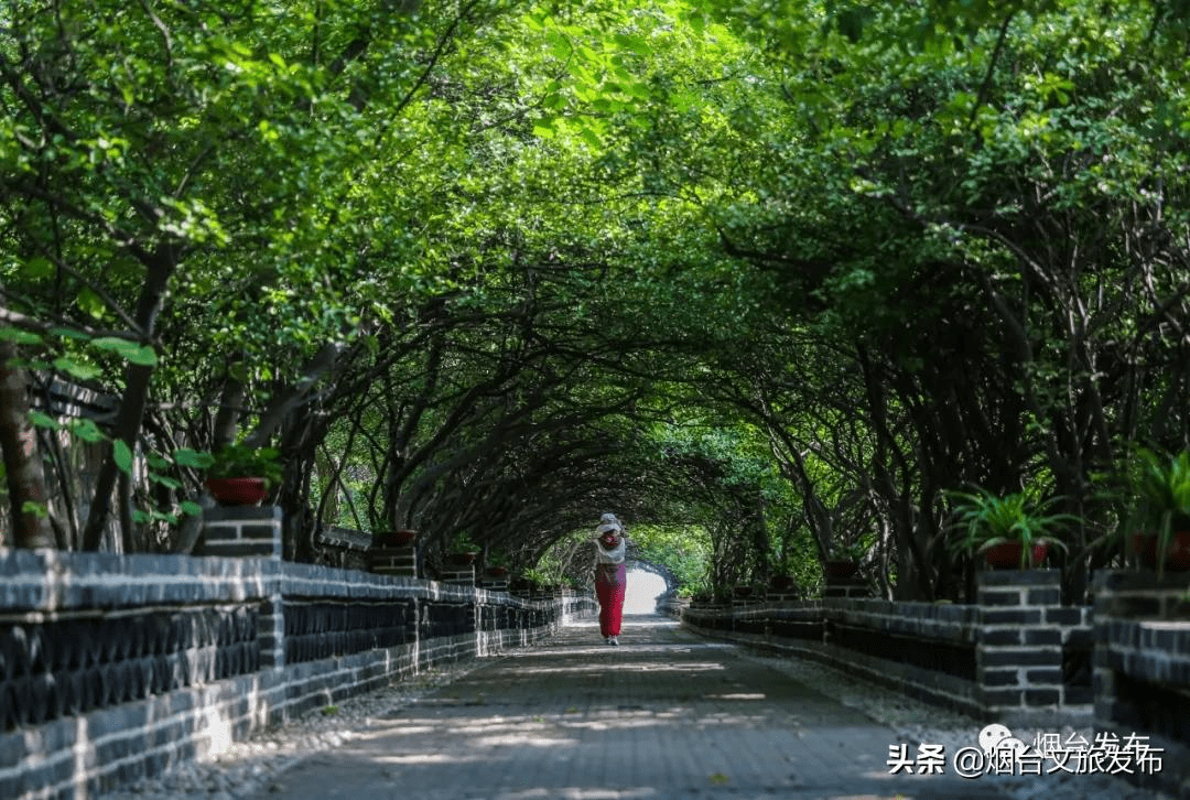 中国|【人间仙境数烟台】烟台山，沧海青天可为鉴