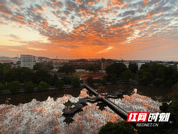 学子|出炉啦！百年名校永州一中校长周黎的2021年家长会汇报