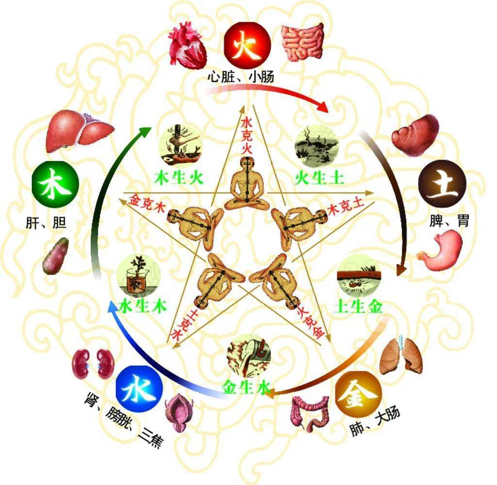 太有趣了，范伟给黄渤算命“你是五行缺五行”_学说_事物_元素