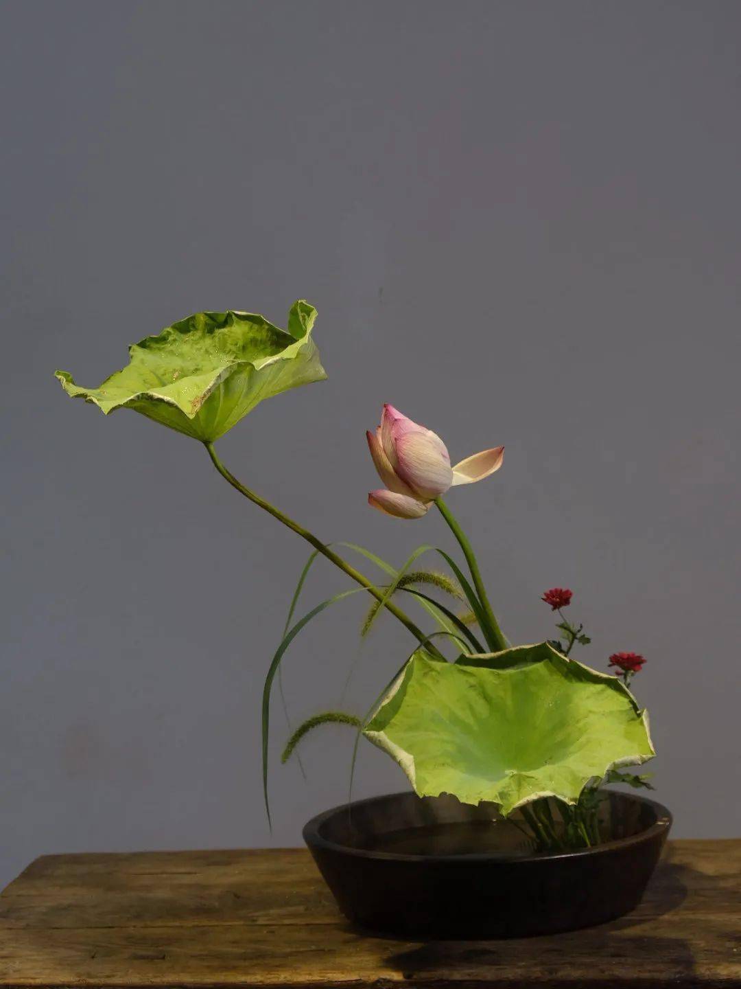 人文花道中式插花盆花课开课啦