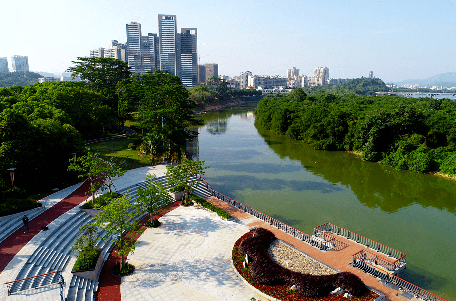 发现宝藏增城又一个鹭鸟天堂诞生诗和远方就在身边