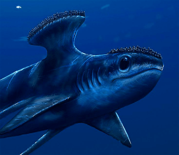 二叠纪——古生代最后的时光,地球变成炼狱_爬行动物_生物_弓纲