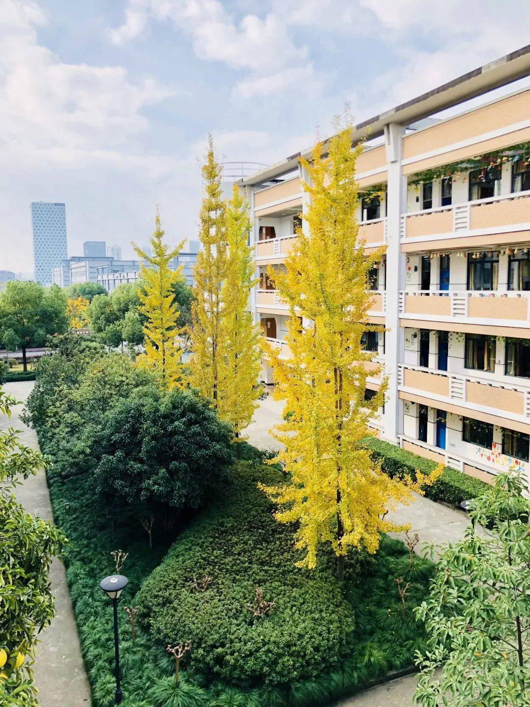 小学浦沿中学江南实验学校杭州二中白马湖学校海康威视幼儿园官河锦庭