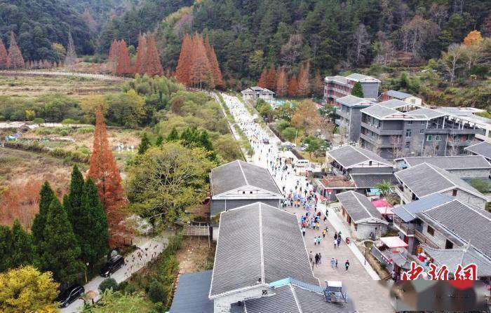 选手|500余名跑者福建龙栖山上演速度与激情较量