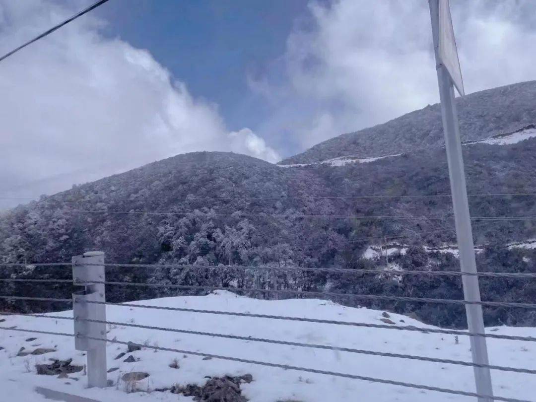 瑞雪倾城!来看2021年初冬第一场雪景