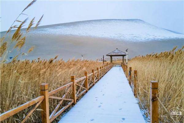 景区|雪落大漠，沙雪交融！敦煌又迎浪漫飞雪