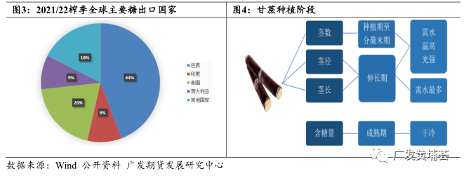 拉尼娜对国际糖市影响探究_甘蔗_巴西_产量