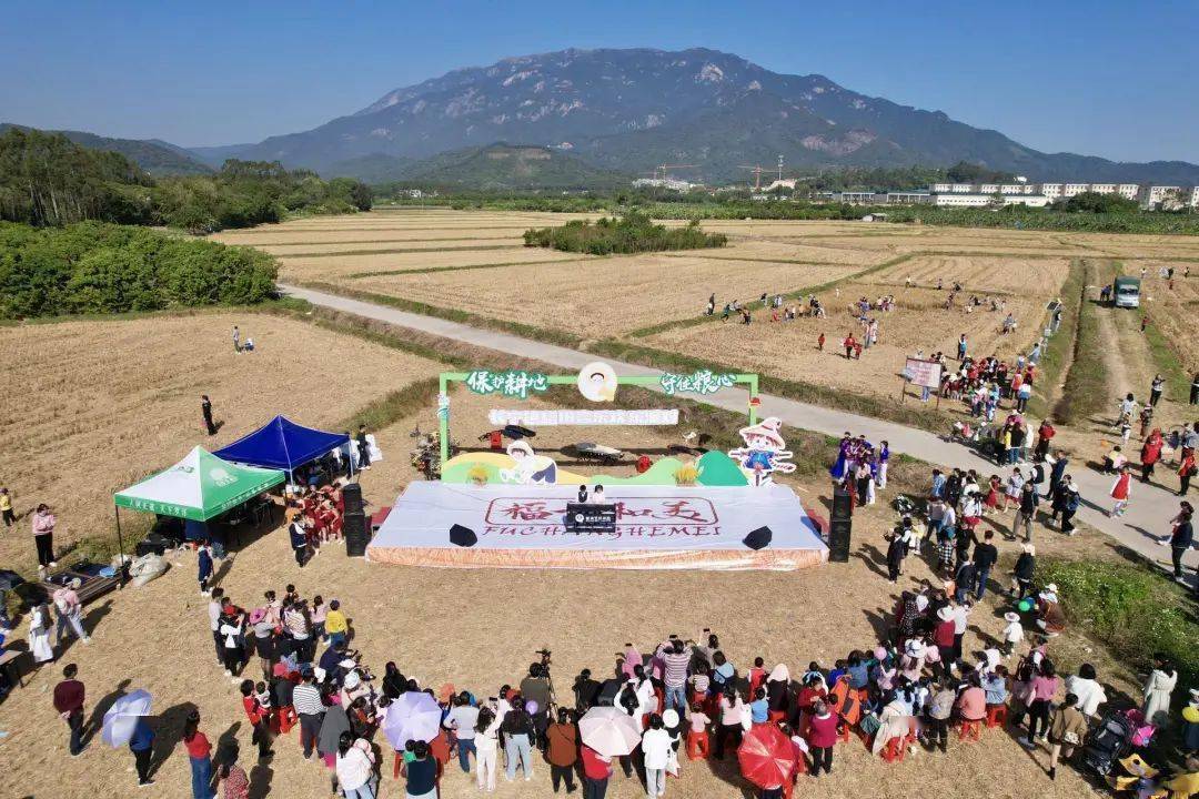 长宁镇_保护_活动