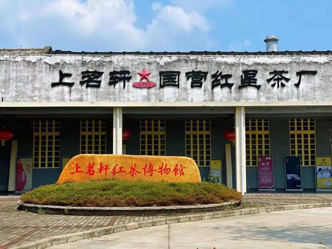 花茶批发最新趋势:从传统到现代的转变
