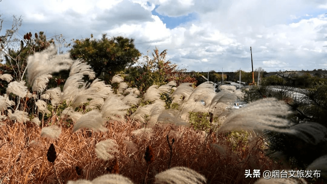 冬雨|蓬莱阁，叶，叶，叶，叶，yeah！