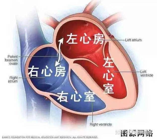 心脏说说图片图片