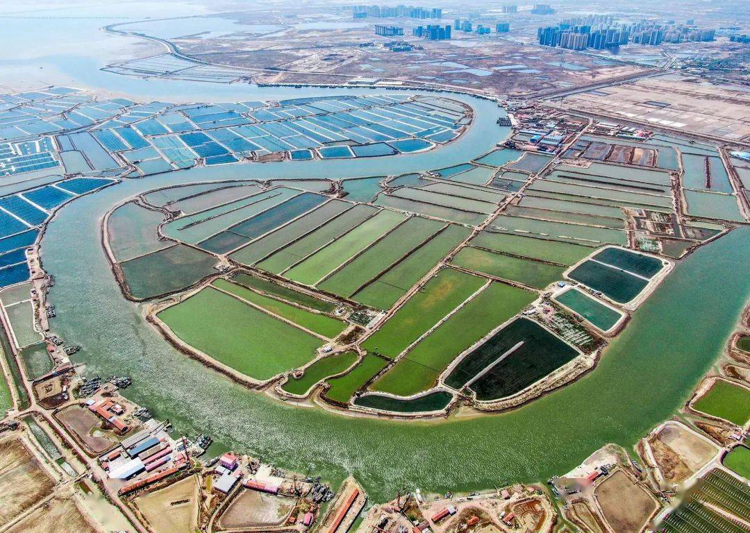 青岛16处国字号海洋牧场让大海变粮仓