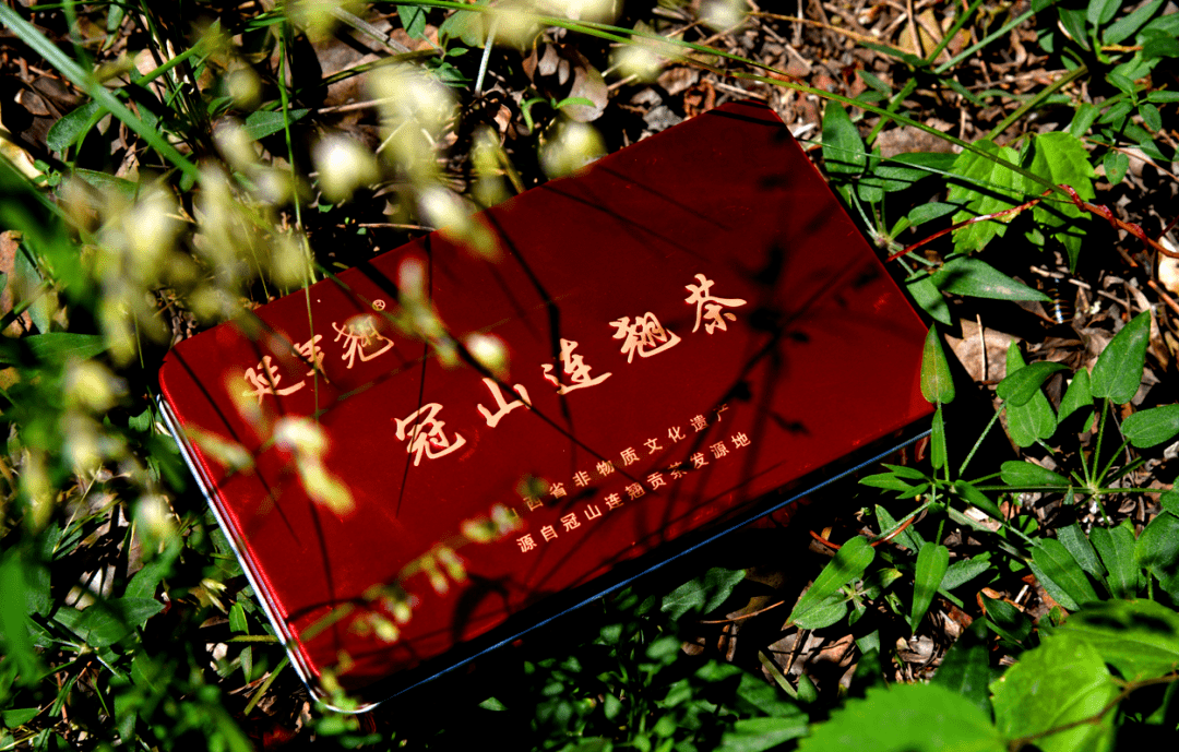 【901|头条】有奖征集广告语!一起来品品冠山连翘茶到底有多好