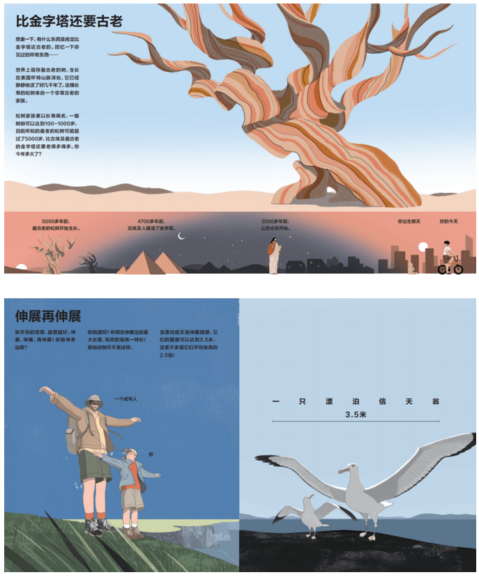 高低|怎么跟孩子解释大小、多少、高低、远近等相对概念？