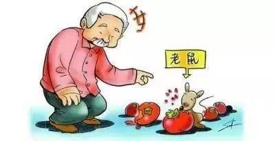 疫情|12月份健康提示：这些疾病需预防→