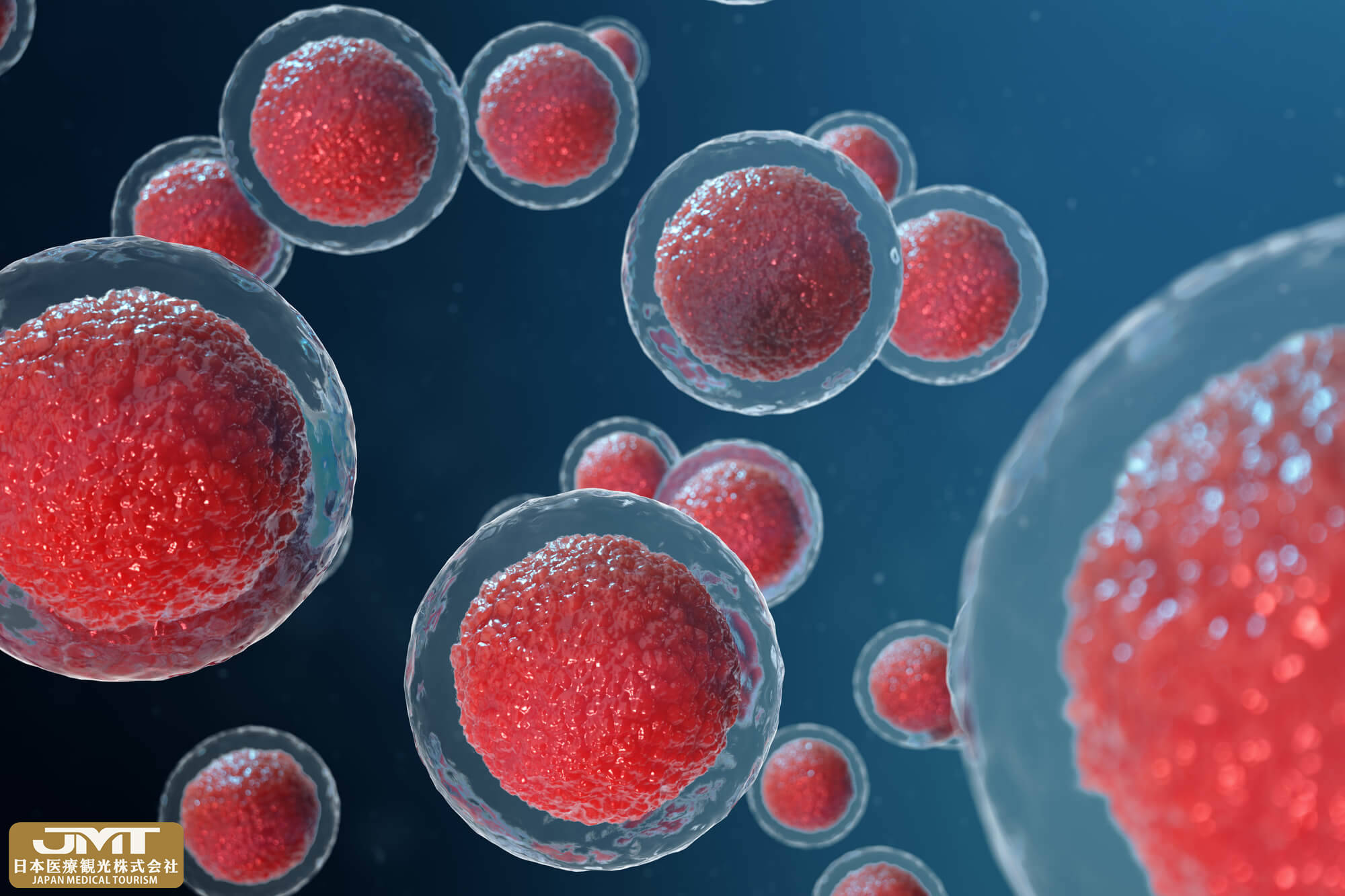jmt日本干细胞中心干细胞的种类和特征