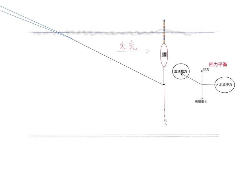静水中线组重力和浮漂浮力二力平衡,鱼来吃饵,打破平衡,产生信号.