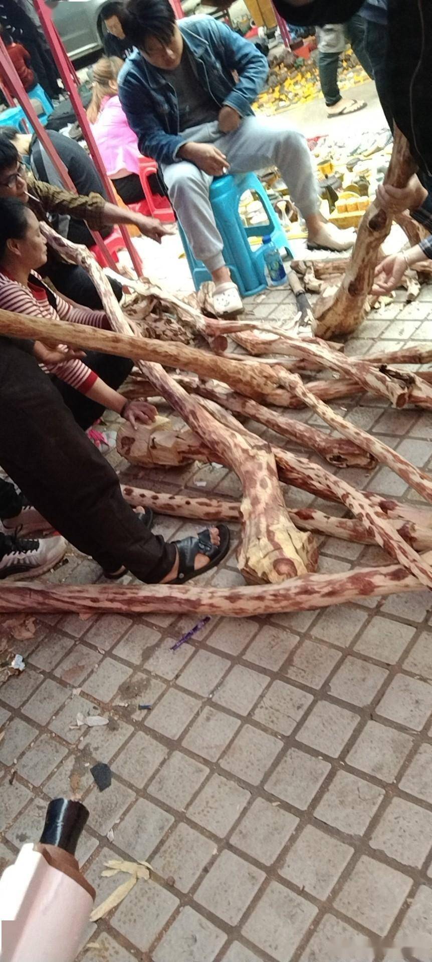 本周日海口鼎臻古玩城早市见闻