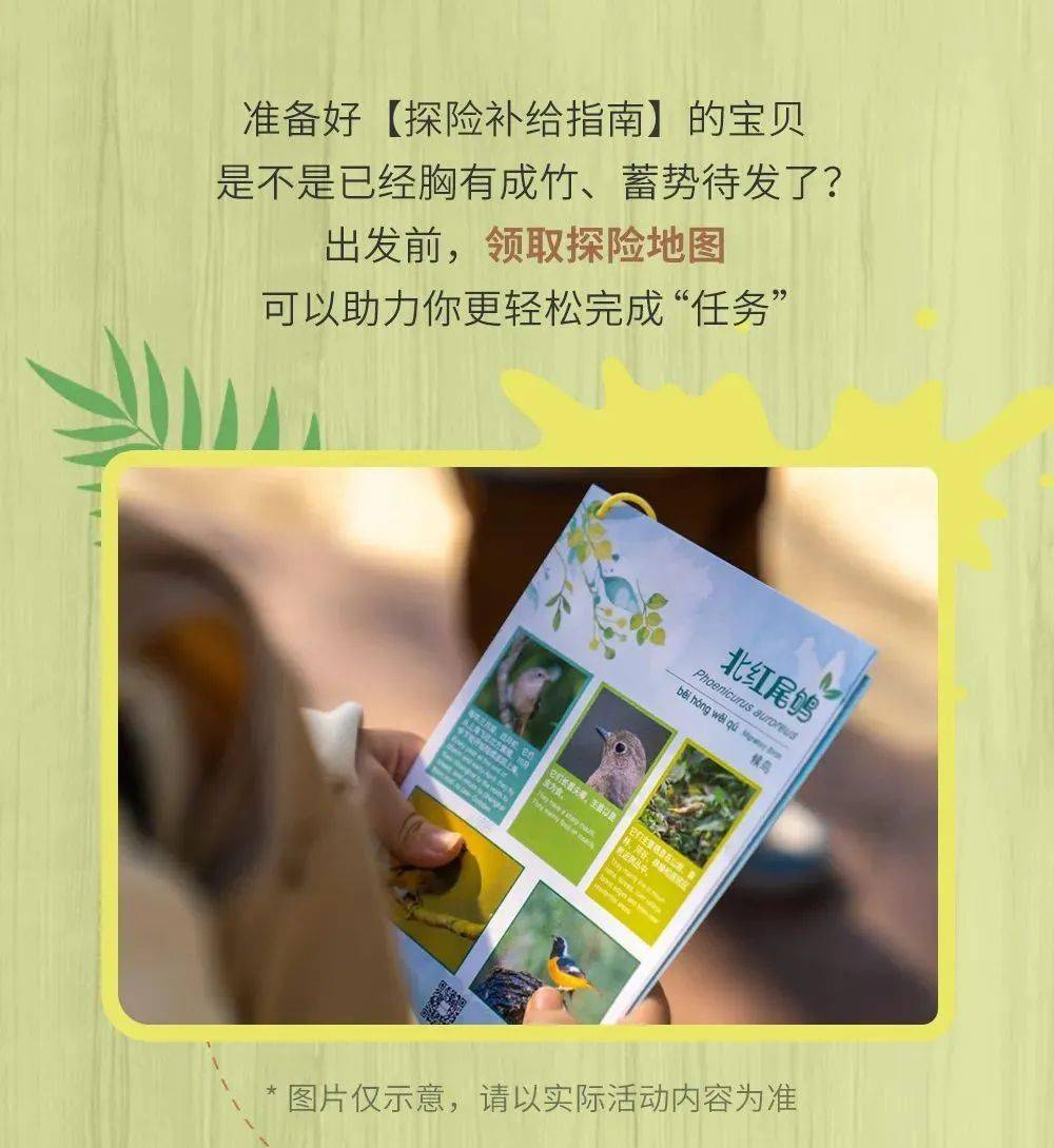 梦解双胞胎，探索内心深处的喜悦与期待——解析谁能帮我解梦呀，我梦见自己生了个好漂亮的双胞胎女孩