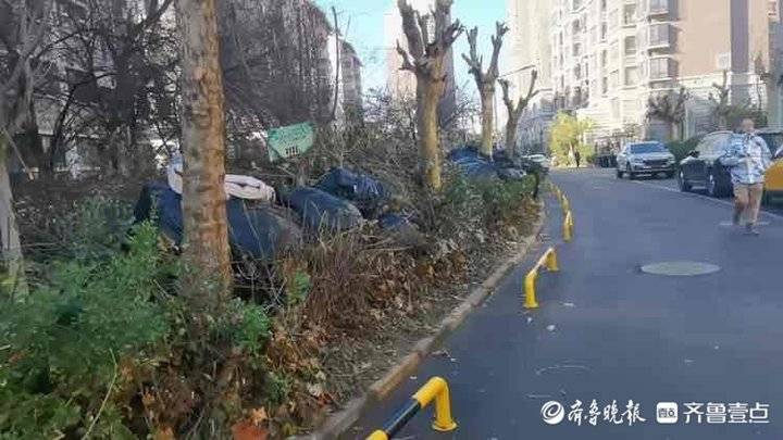 ��ľ����ͷ����֦���ɶѣ�����һС��������ҵ������