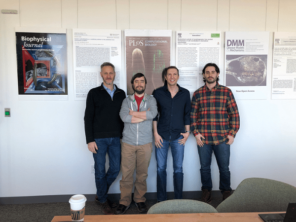 Xenobots 3.0来了！全球首个可自我繁殖活体机器人问世