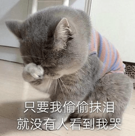 459185c8ff2c4d2c81311430f4545f36.png