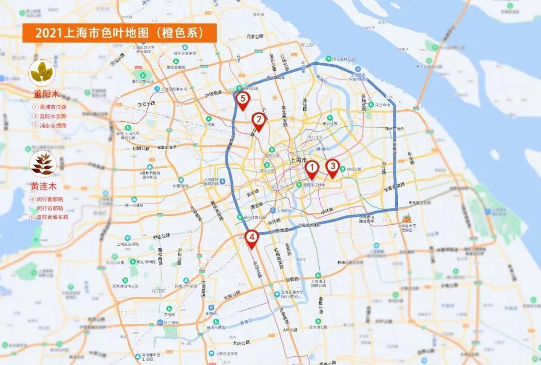 地图|黄橙红绿尽染魔都，2021年上海秋色地图上线