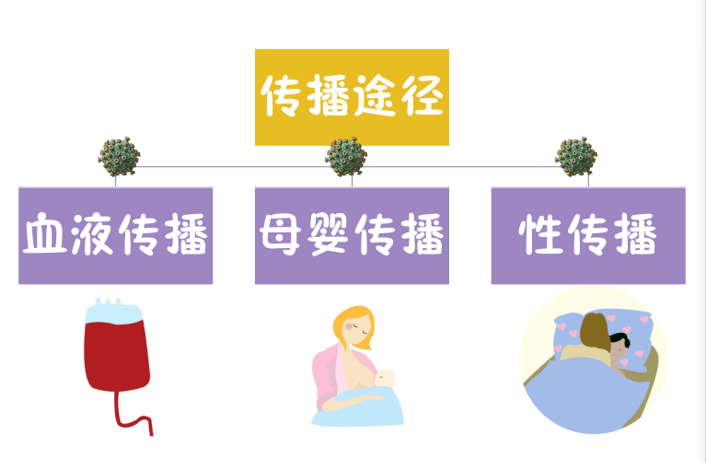 体液中的hiv含量