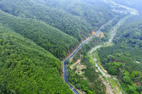 广东|一路风景如画！广东公布最美公路，哪条经过你家乡？