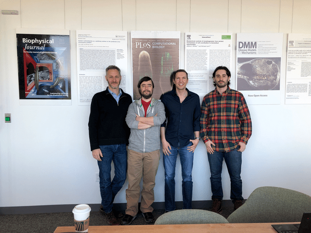 全球首个可自我繁殖活体机器人Xenobots 3.0问世